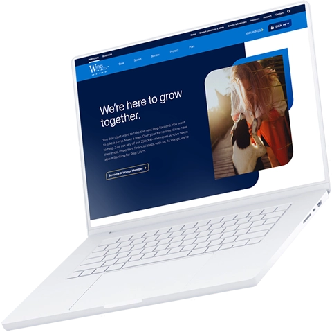 Laptop screen