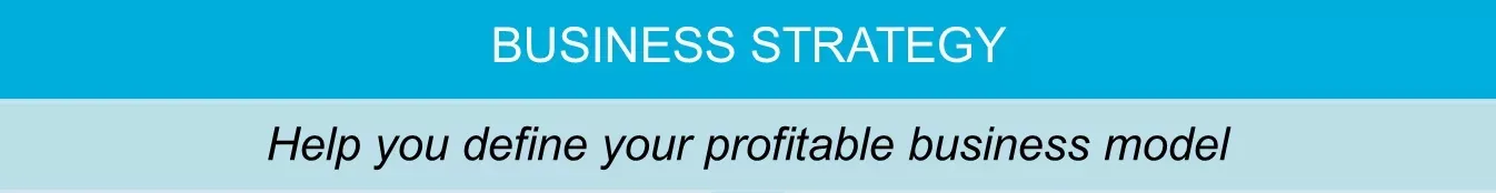 Business Strategy